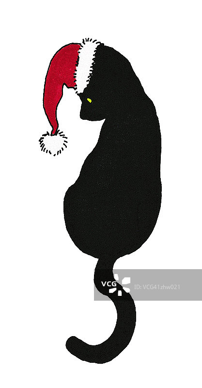 戴圣诞帽的黑猫图片素材