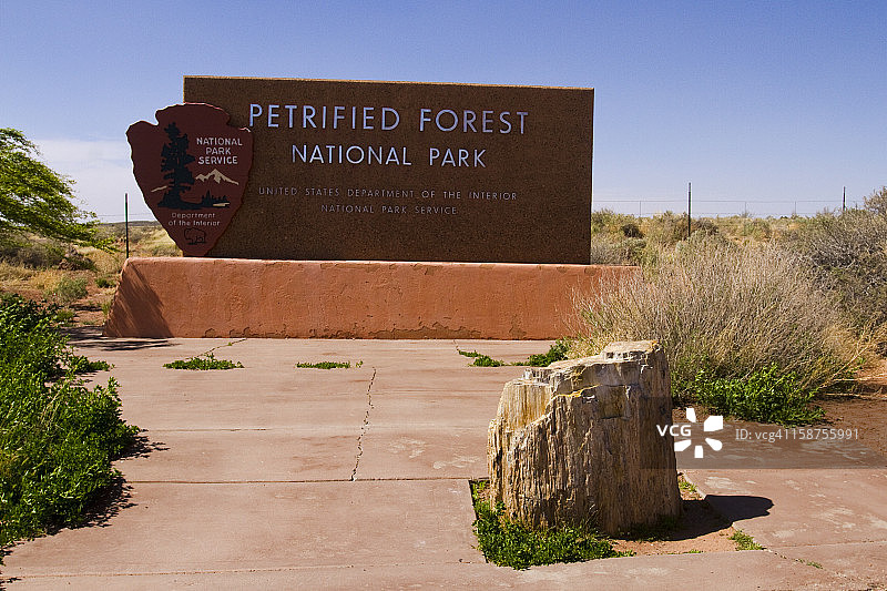 石化森林国家公园图片素材