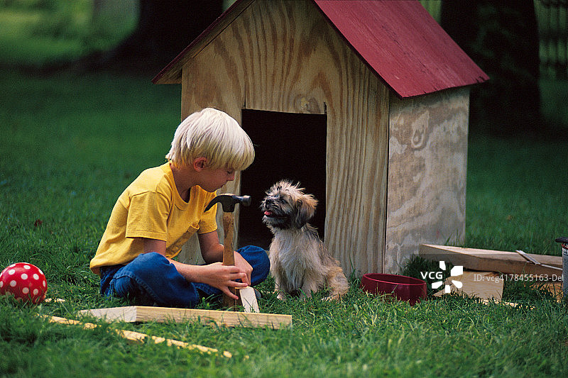 男孩为小狗建造狗屋图片素材