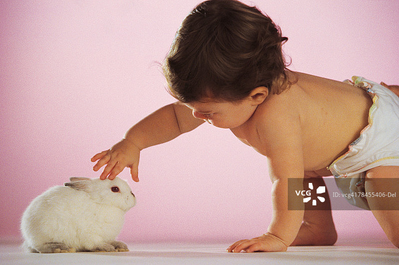 婴儿伸手抚摸兔子图片素材