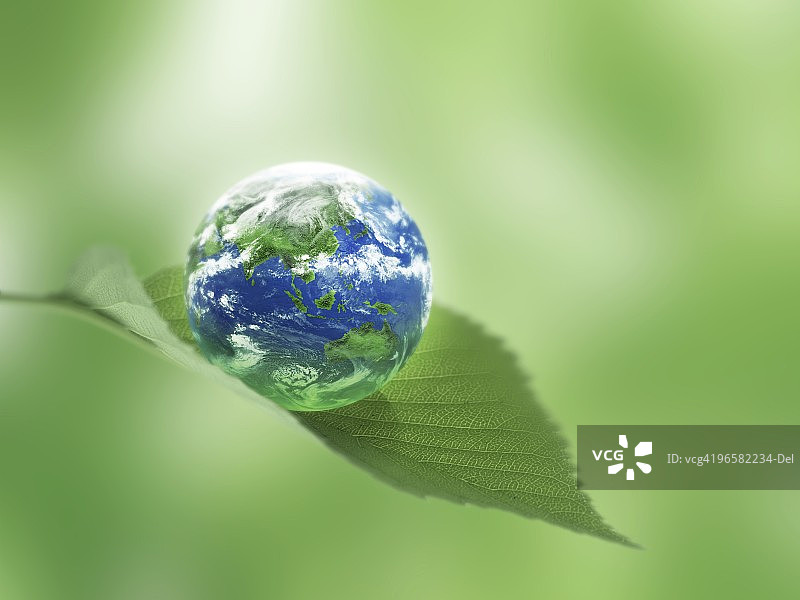 树叶上的地球图片素材