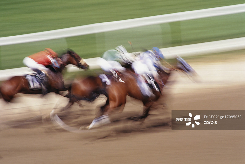 贝尔蒙特公园赛马图片素材