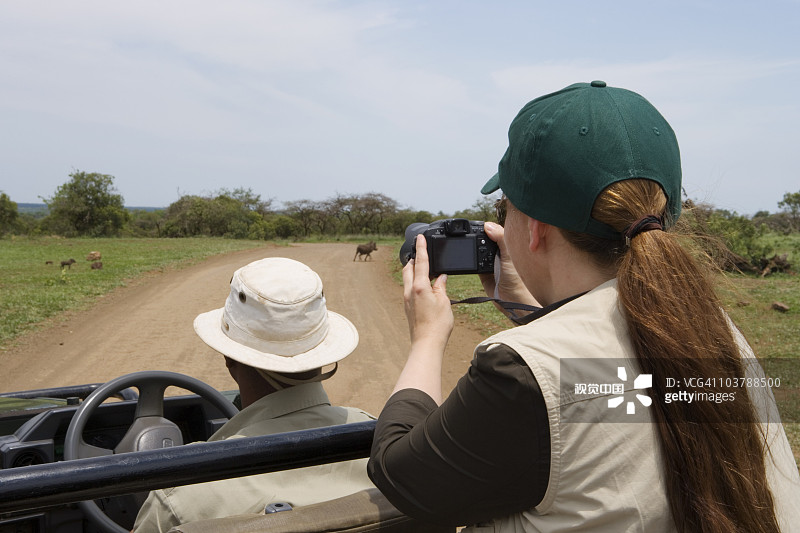 女人从辛达野生动物园车辆上进行拍摄图片素材