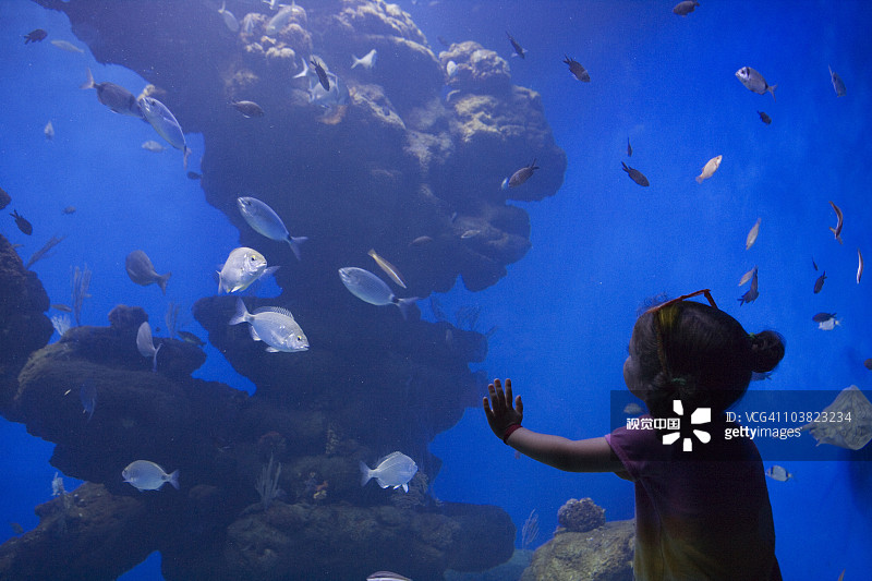 在帕尔马水族馆观赏鱼的小女孩图片素材