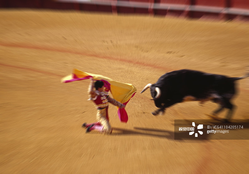 斗牛表演图片素材