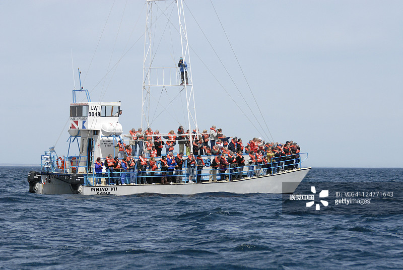 在阿根廷瓦尔德斯半岛大西洋观鲸船图片素材