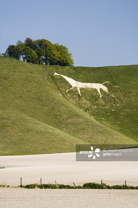 在英格兰威尔特郡Cherhill白垩山坡上的白马图片素材