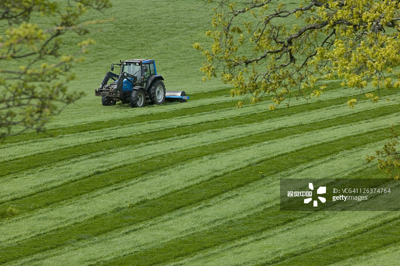在伊甸谷春天被卷起图片素材