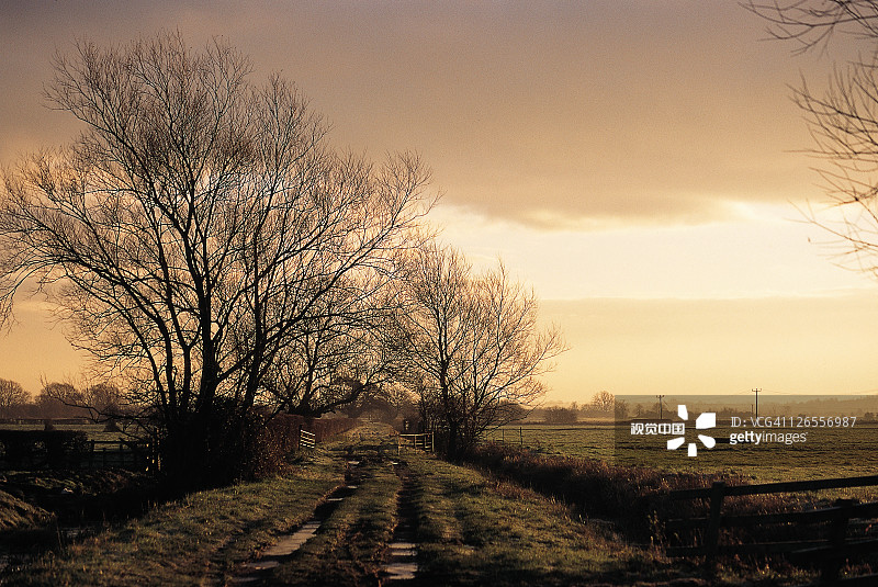 萨默塞特沼泽图片素材