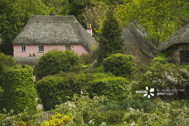 英国德文郡托基科金顿村庄一景图片素材