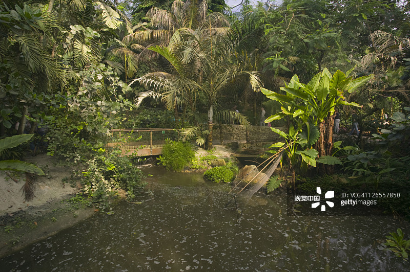 英国康沃尔郡圣奥斯特尔附近伊甸园项目的热带雨林生物群系中的海洋岛屿区图片素材