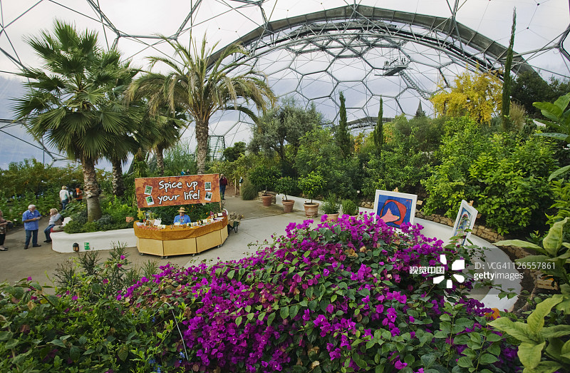 英国康沃尔圣奥斯特尔伊甸园项目地中海生物群落内部图片素材