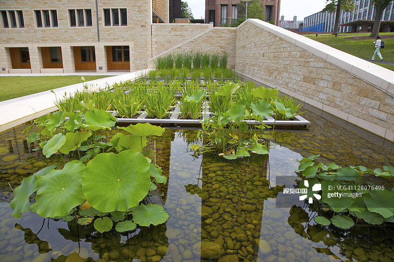 耶鲁大学校园内的池塘和雨水收集系统，康涅狄格州，纽黑文图片素材