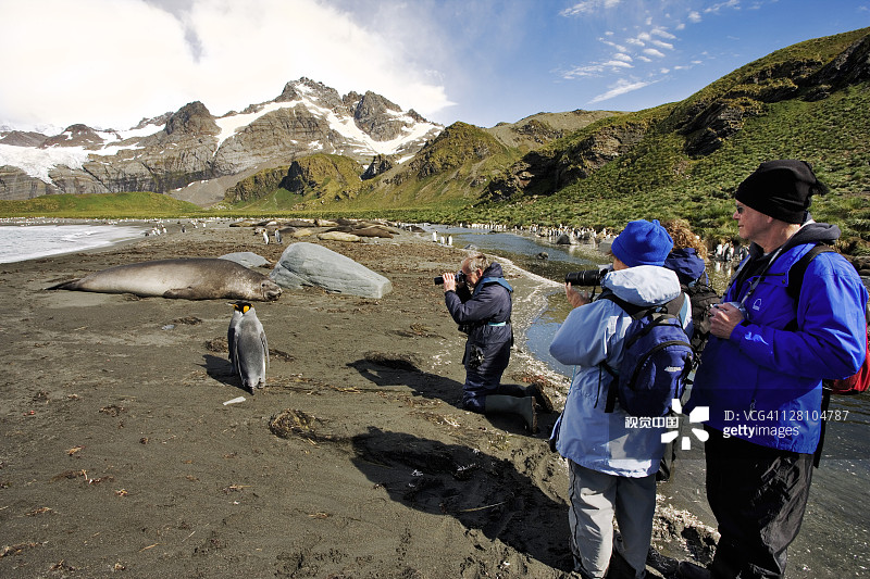 在南乔治亚岛拍摄国王企鹅的游客图片素材