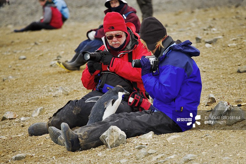 阿德利企鹅，Pygoscelis adeliae，在坐在地上的两位游客之间。南极洲。图片素材