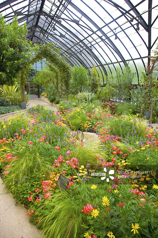 宾夕法尼亚州肯尼特广场长木花园的彩色花坛图片素材