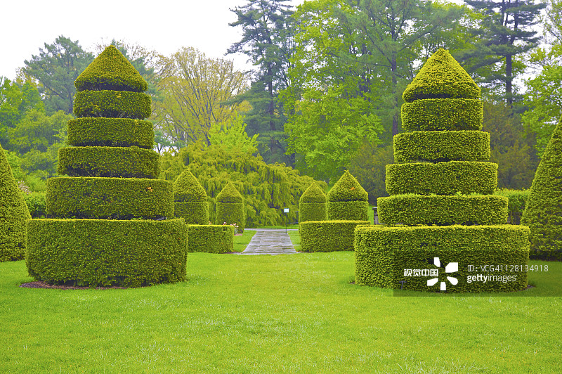 长木花园金字塔形灌木植物整形花园，美国宾夕法尼亚州肯尼特广场图片素材