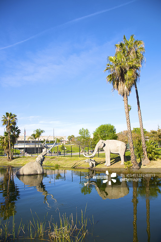 洛杉矶佩奇博物馆外池塘里的动物模型图片素材