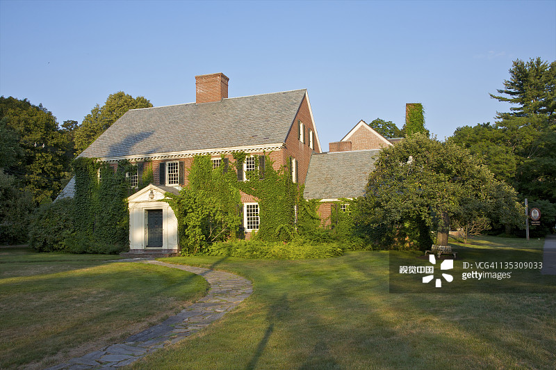 覆盖着绿色常春藤的大型砖砌建筑图片素材