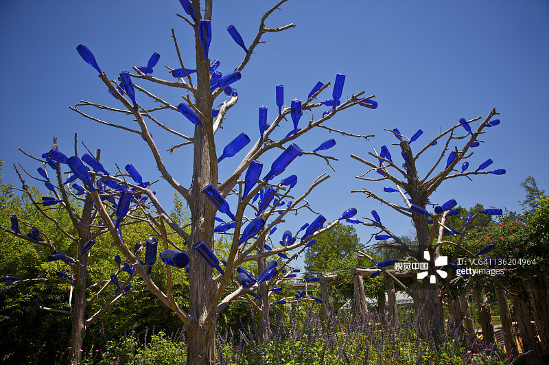 悬挂在树枝上的透明蓝色玻璃瓶图片素材