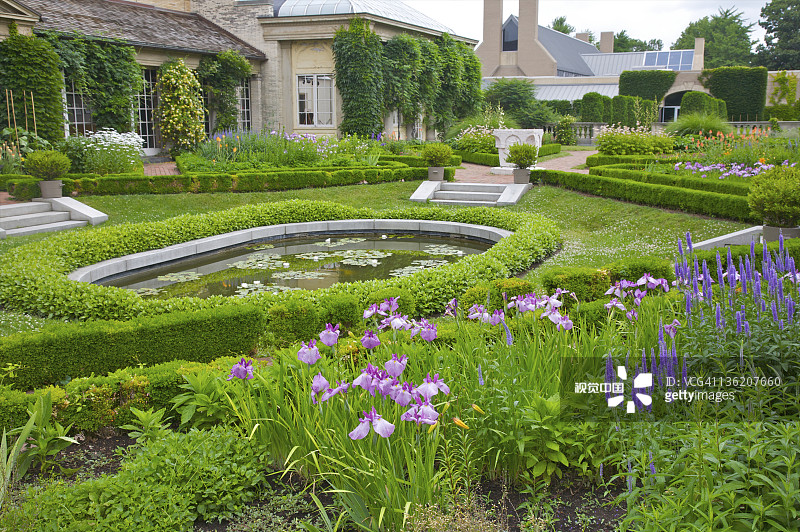 从高处俯瞰正规花园中的鸢尾花图片素材