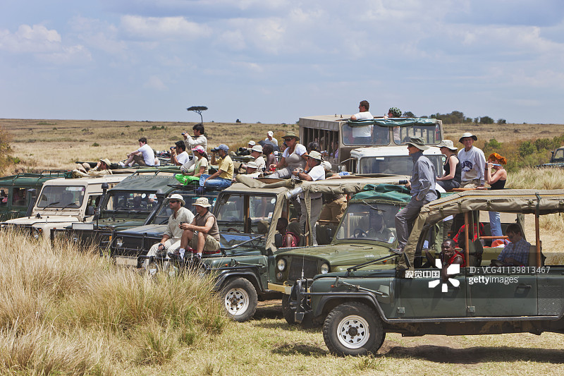 游客观看角马迁徙穿越马拉河图片素材