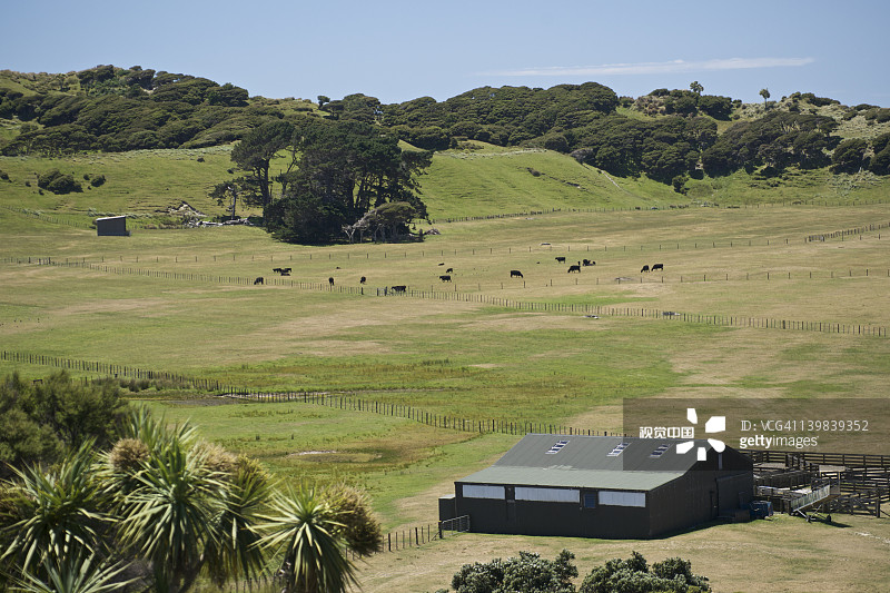 新西兰南岛尼尔森告别角脚下的农田图片素材