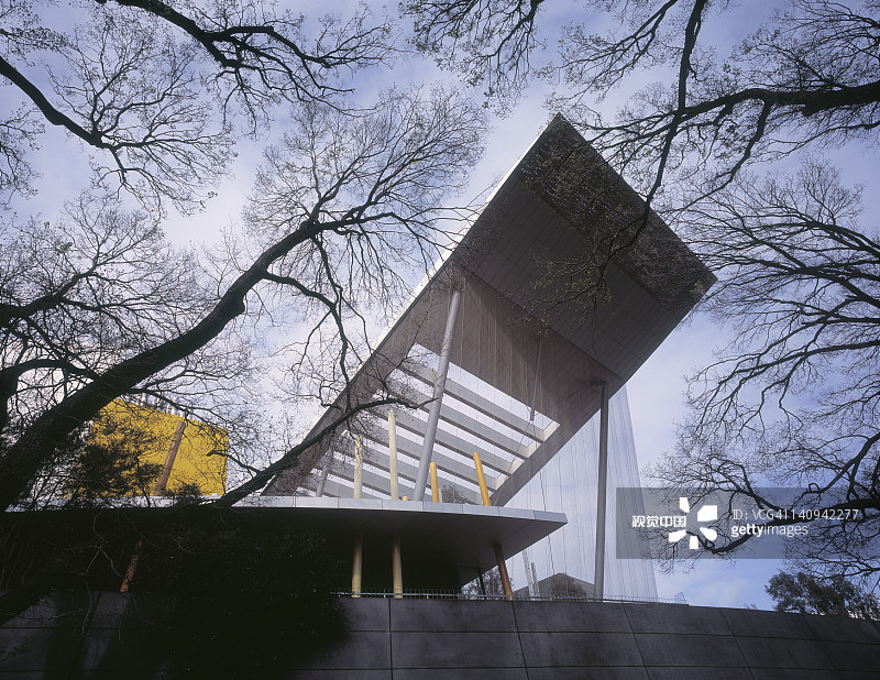 墨尔本博物馆与树枝图片素材