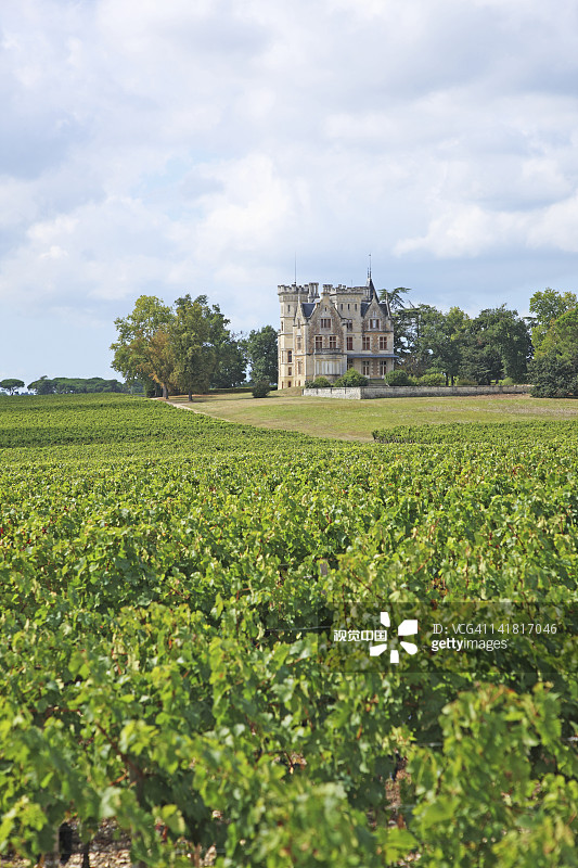 法国吉伦特省梅多克莱桑酒庄葡萄园图片素材