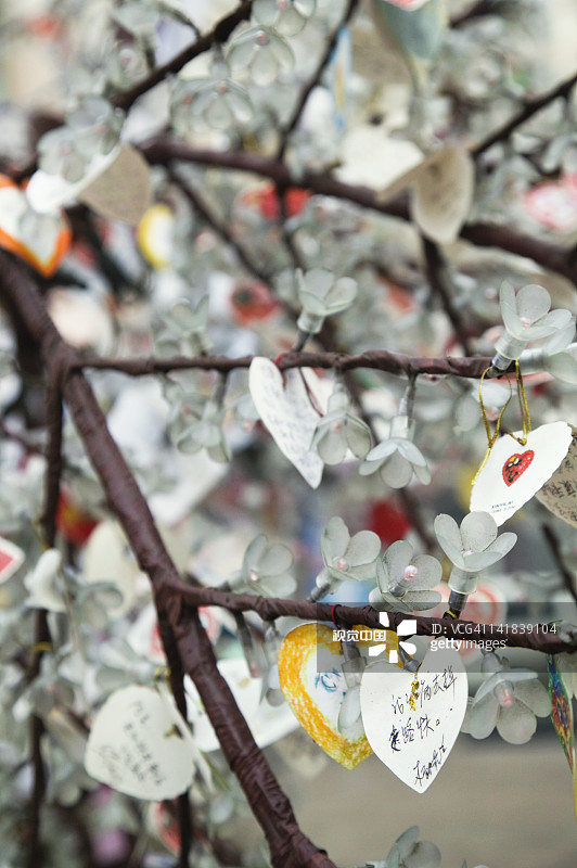 中国道里区俄罗斯遗产区冰树上的佛教祈愿纸图片素材