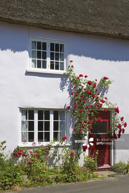 多塞特郡伯顿布拉德斯托克茅草小屋，英国图片素材