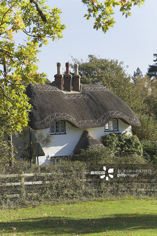 英格兰汉普郡新森林斯旺格林的茅草小屋图片素材