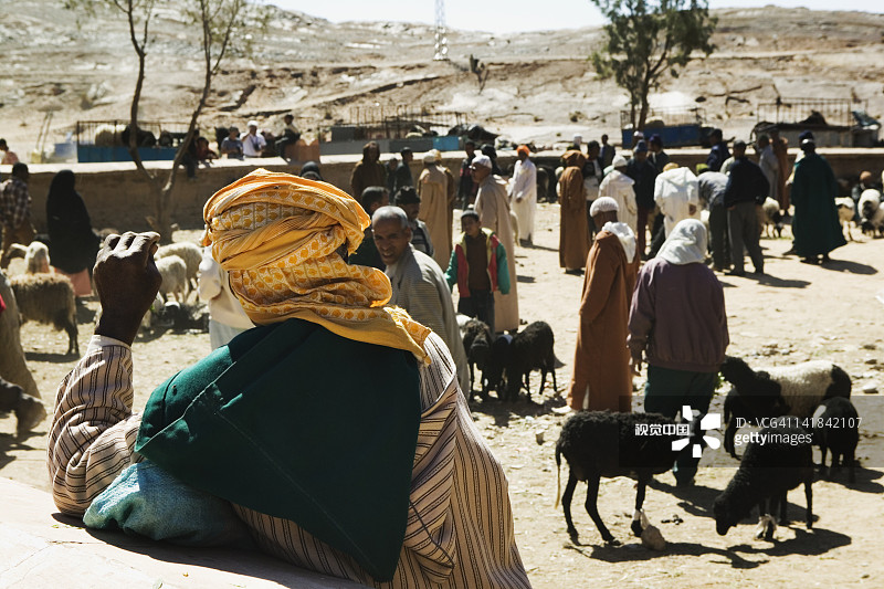 摩洛哥 Ziz 山谷 ERFOUD 周日牲畜市场图片素材