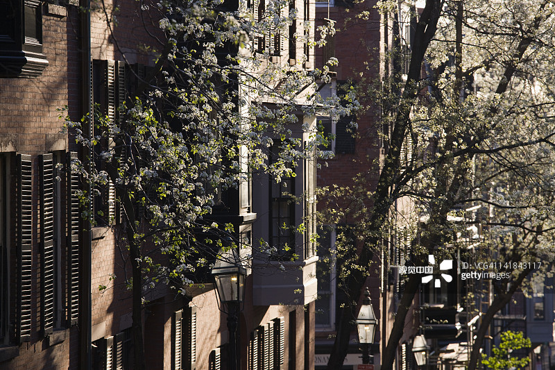 美国马萨诸塞州波士顿灯塔山弗农山街图片素材