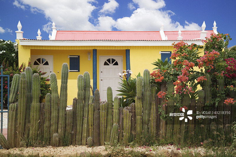 加勒比阿鲁巴岛的彩色房屋图片素材