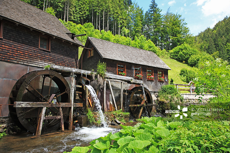 德国：黑森林图片素材