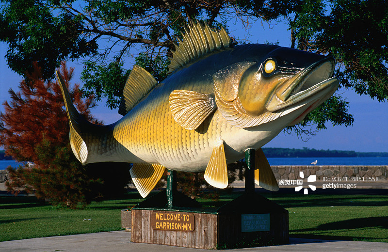 加里森的“世界最大玻璃梭鲈”图片素材