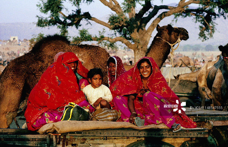 在普什卡骆驼节上坐在骆驼车上的女人图片素材