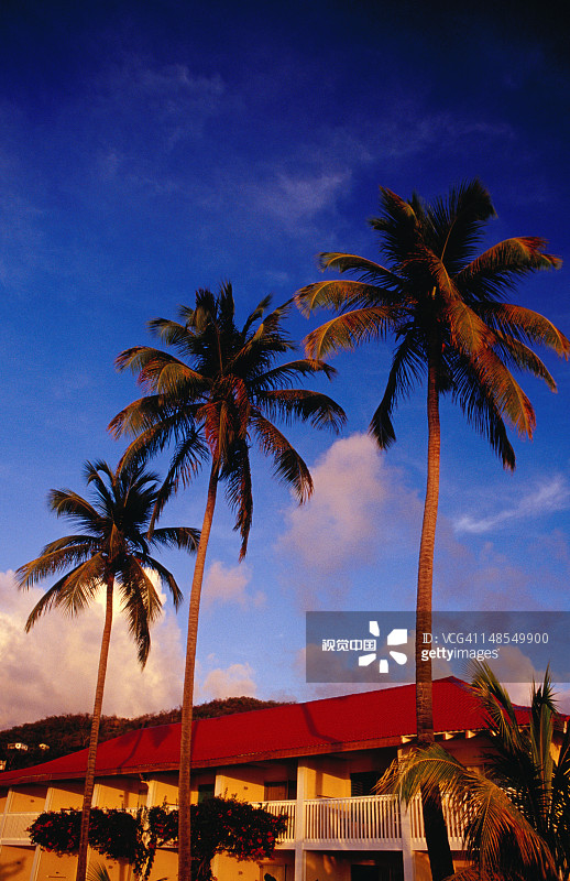 昂斯海滩上的度假村建筑和棕榈树图片素材