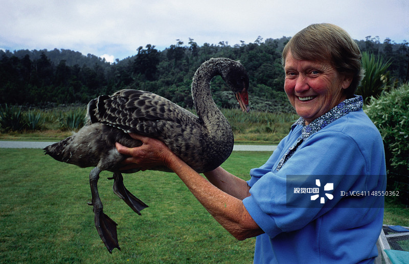 与天鹅合影的女性肖像图片素材