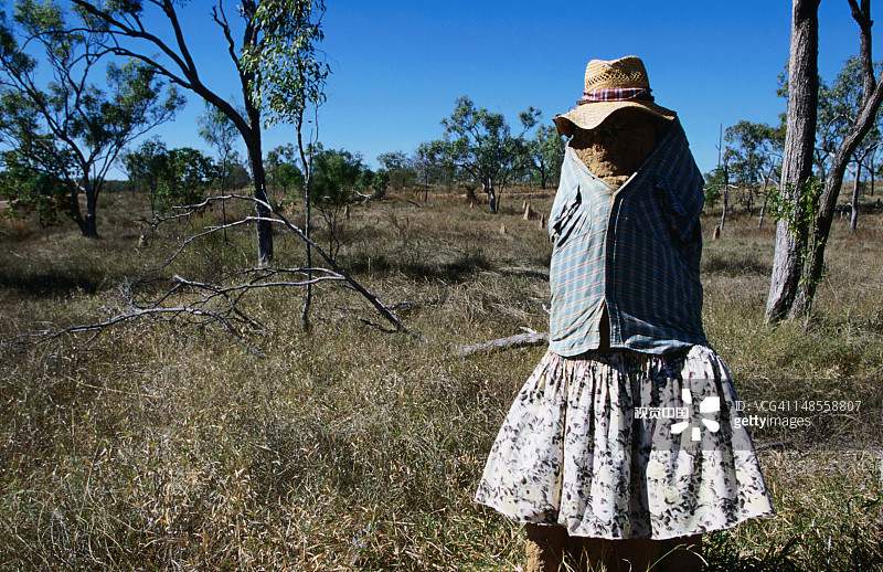 装饰着女性服装的白蚁丘图片素材