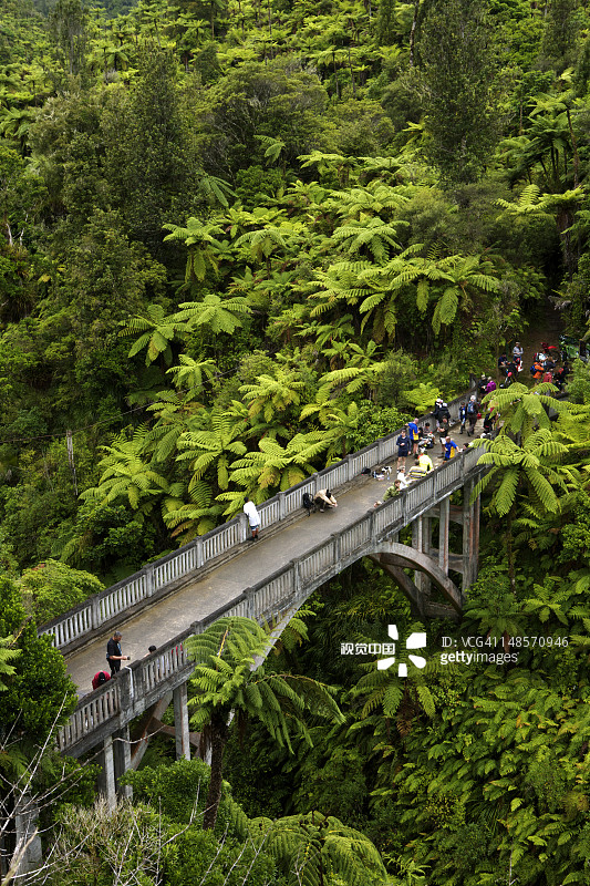 通往荒野的桥，从莫兰瞭望台眺望旺格努伊河图片素材