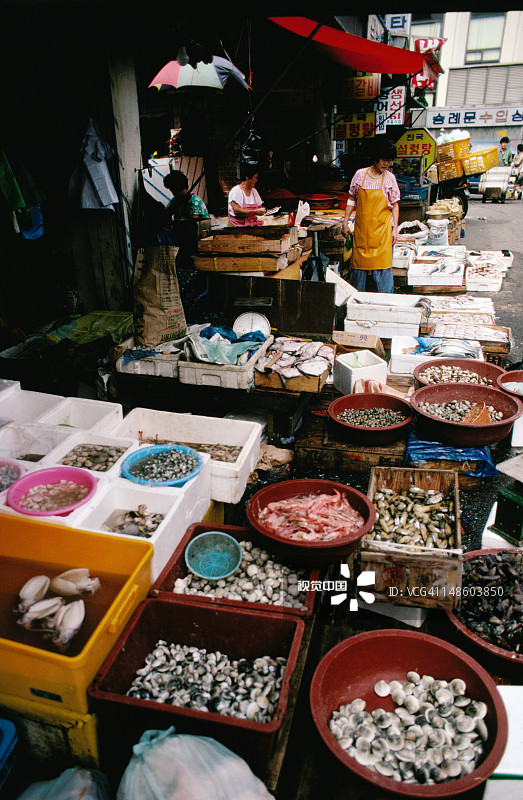 南大门市场的鱼摊，装满了各种鱼图片素材