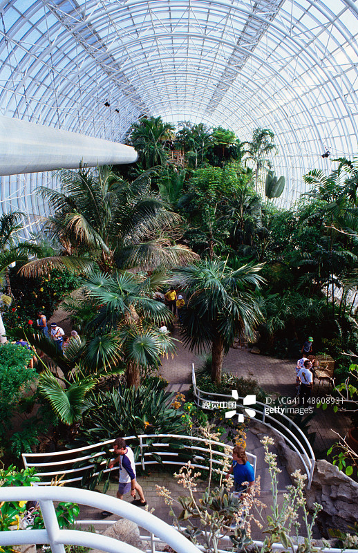 植物园水晶桥图片素材