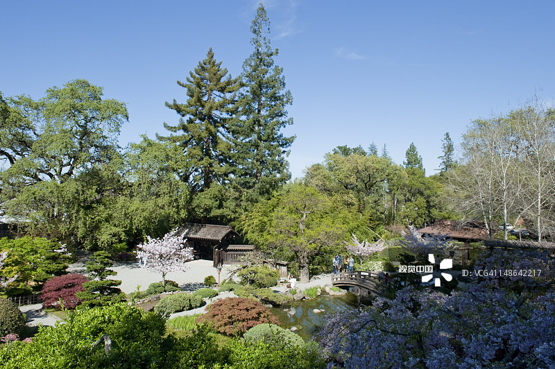 箱根花园的日式花园图片素材