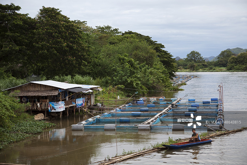 桂河附近的罗非鱼养殖场图片素材