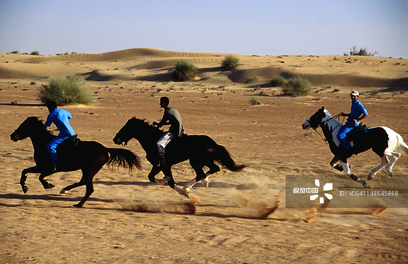 沙漠赛马奔跑图片素材