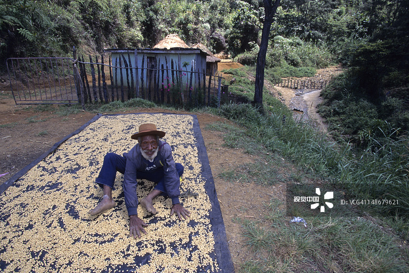 男人在丹楼山口晾晒高地咖啡豆图片素材