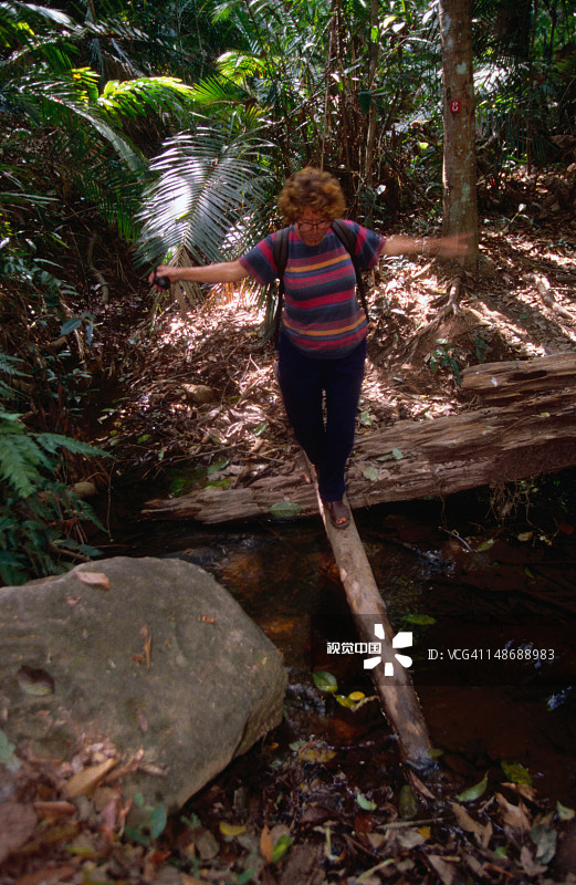 考艾国家公园雨林小径上的游客图片素材