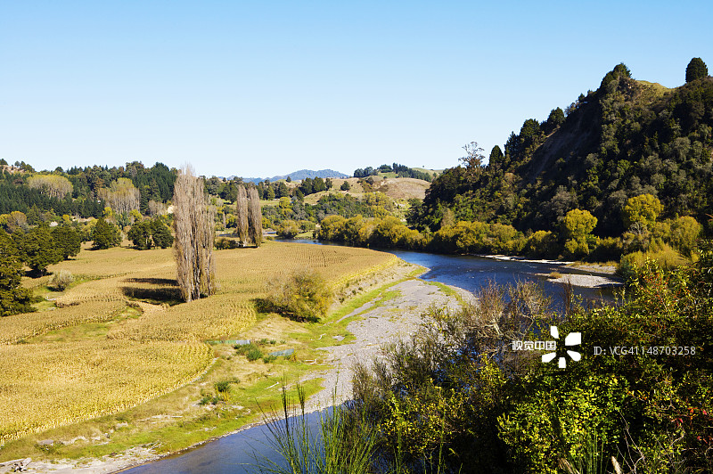 旺加努伊河畔的农田和原生林图片素材